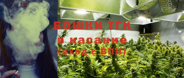 apvp Аркадак